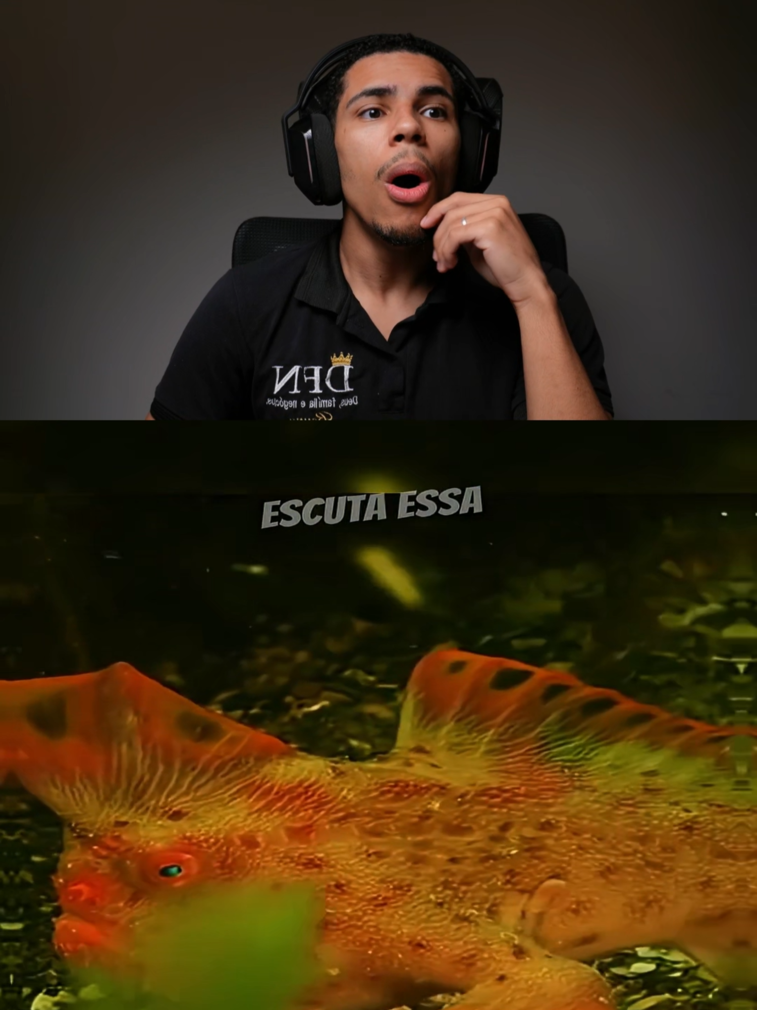 Animais Raros Que Você Nunca Viu 😶‍🌫️🐾⭐