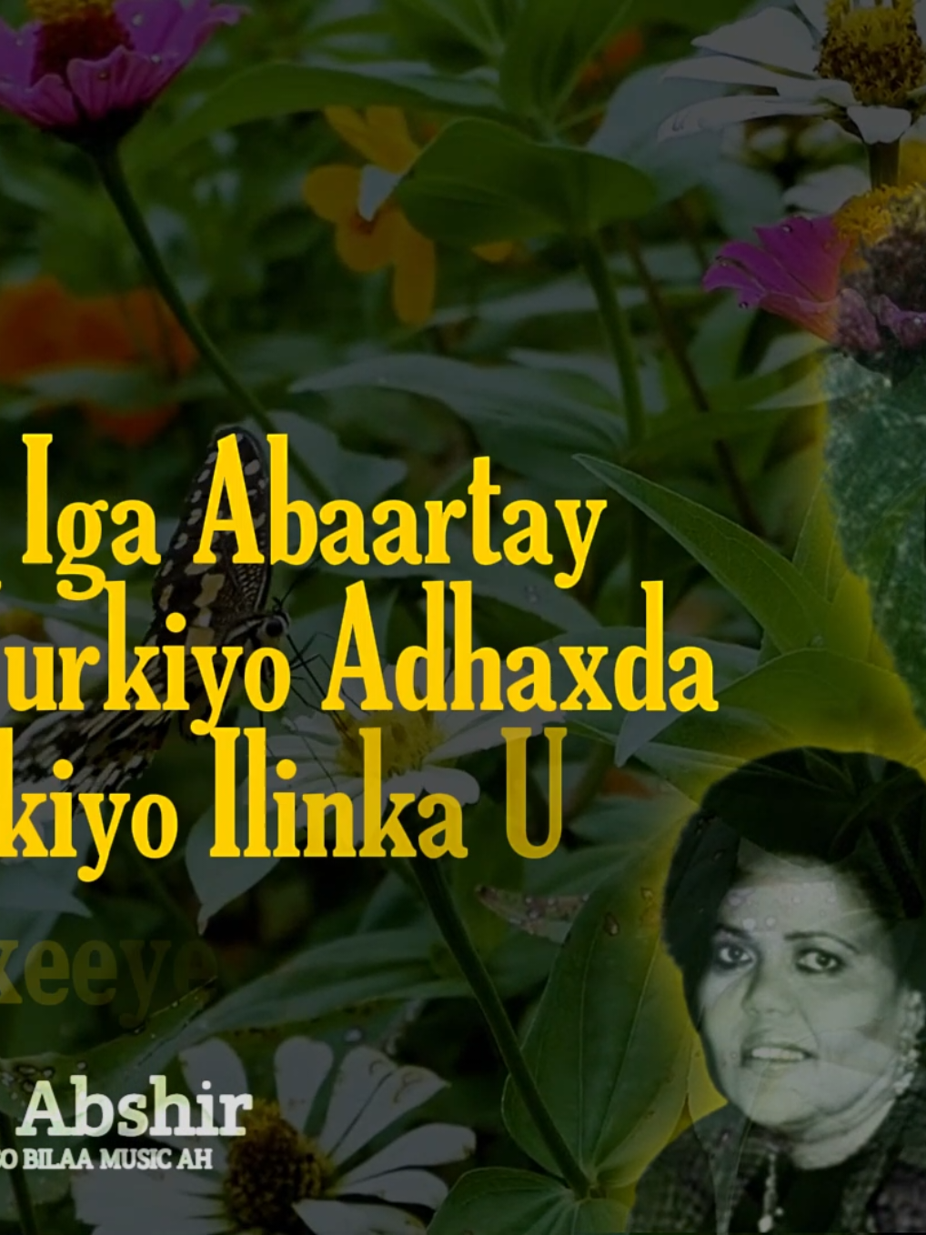 aun xaliimo kh. magool | dayaxoo Aroortii | Qaraami Xul ah #qaraami #somalitiktok #foryourpage #heesbilaamusic 