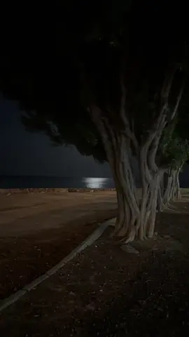 #هواجيس_لانهائية 