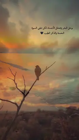 ياالله يحزن قلبي اليوم 🥀🥀