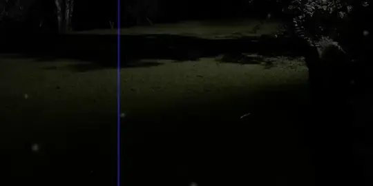 انا بحبك❤️#حبيبي #حب #foryou #fyp #تصميمي 