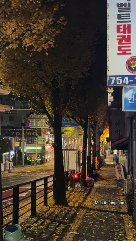 Mùa thu đầu tiên tại Hàn Quốc 🥰 #viral #xh #muathu #duhocsinhhanquoc 