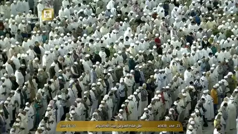 تلاوة فجرية تخشع لها القلوب 🕋🎧😴من سورة النمل 😴#سعود_الشريم #الشريم #f #fyp #fyp 