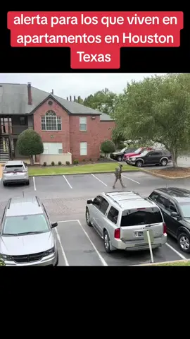 #fip #flyppppppppppppppppppppppppppppppp #noticiastiktok #flix #fory 