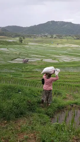 #trendingvideo  #masukberandafyp  #fypシ゚viral 