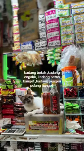 gak kerasa udah lebih 1 tahun di rantau#sehatbadan #fypシ゚viral #madura #warungmadura24jam 