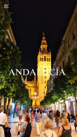 #andalucia #rosalia #sevilla #malaga #cadiz 
