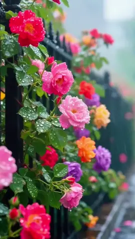 #foryou #tiktokflowers #beautiful #tiktokwallpaper #flower 