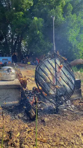 اجواء نهر دجله💔🫶#اكسبلورexplore #ستوريات🖇️🎬 #نهر_دجله #ابوسيك_الصياد🎣🔱 #شعب_الصيني_ماله_حل😂😂 