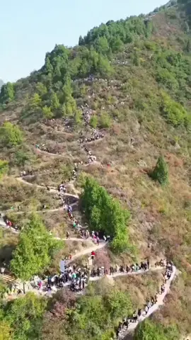 سلام دي راغے ته را نغلے