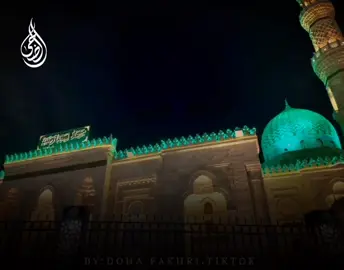 أرجوكِ يا بنت المشفع نظرة🥹#السيدة_زينب  #القاهرة #fyp #fyp #fyp 