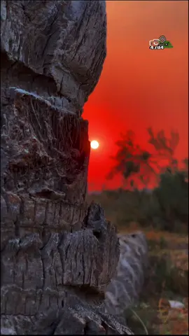 الدنيه مو مالت ضحك مالخ 📸موال ونين#تصويري#تصويري_احترافي #اغاني #جواد الساعدي#مول حزين