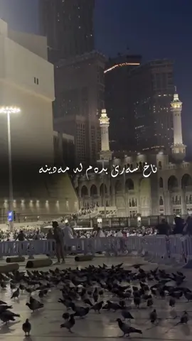 ئاخ سەرێ بدەم لە مەدینە🥹🖤#run4ky #makkahmadinah🕋 