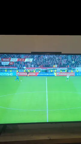 Troy Parrot my heart will go om Ireland vs Hungary UNBELIEVABLE #hungary #ireland #parrot 