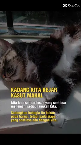 #quotes #tt #tiktokfyp #fypシ #fyp 