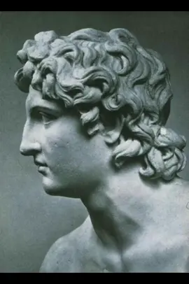 side #mog #morph #sideprofile 