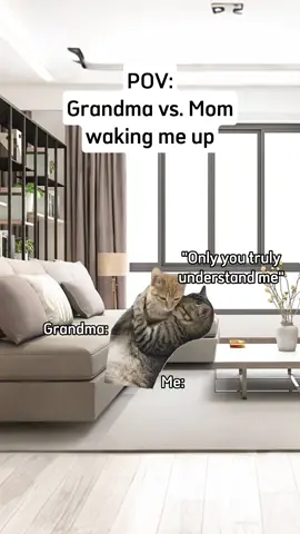 Grandma vs. Mom waking me up. #catmeme #cat #funny 