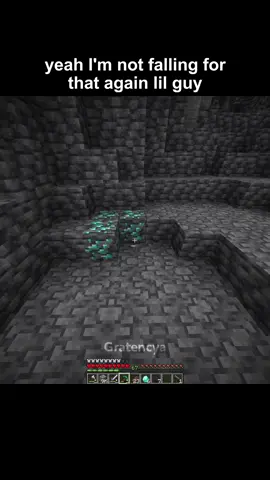 bud #Minecraft #minecraftmemes #minecraftmoment #viral #fyp 