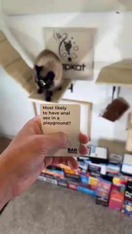 Absolute no care. #badpeoplegame #bap #cat #oof #fyp 