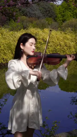 她收到了一封信，却不知道这封信是诀别书。”#小提琴 #诀别书 #乐器演奏 #音乐 