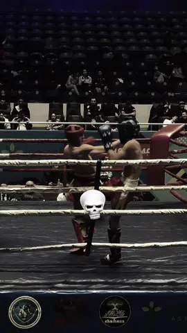 👀#технарь #рек #kikboxing #muaythai #boxing🥊 