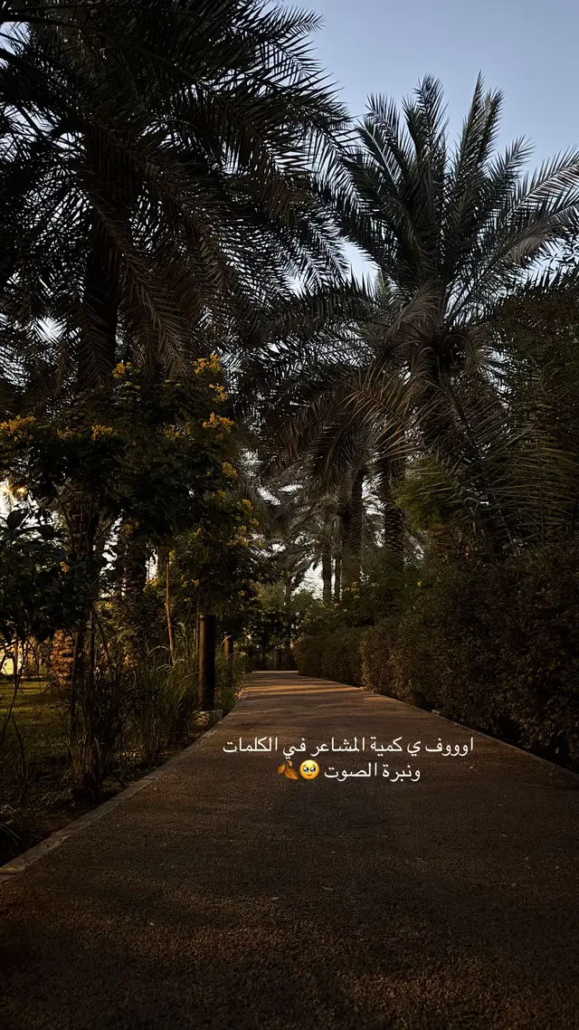 #اكسبلور #مالي_خلق_احط_هاشتاقات #الشعب_الصيني_ماله_حل😂😂 #explore #fyp 