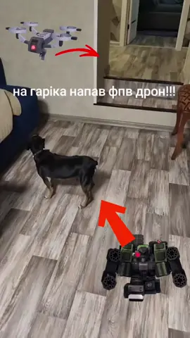 гарiк мк 2+ ☠️⚠️ - #tdx #тдх #towerdefensex #Roblox #роблокс