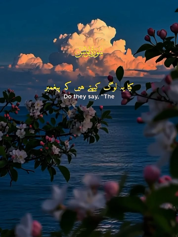 Surah Al Yunus Aayat 37-40 . . . . #allah❤️ #islamic_video 