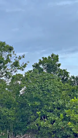 ตัวตึงบาเจาะแหละนิห😁@🔰บังฟา วัยรุ่น380🔰 