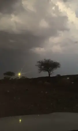 #تلج الضلوع#creatorsearchinsights 