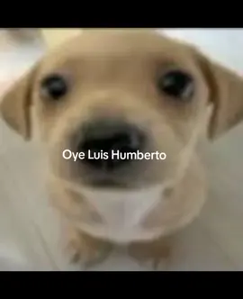 #rockenespañol #enjambreescuchas #enjambremx #xybca #paratiiiiiiiiiiiiiiiiiiiiiiiiiiiiiii 