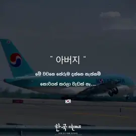 වචනෙ තේරුම comment කරගෙන යමු කට්ටිය 🥹🇰🇷❤️ 한국 දේශය 🇰🇷#southkorea #fypシ゚viralシ #DreamKorea #onemillionaudition #hilight #fyp #everyone 