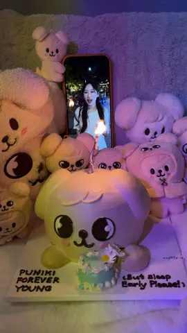 It’s my birthday🎂🐶✨ #skzstay #skzoo #straykids #seungmin #puppym 