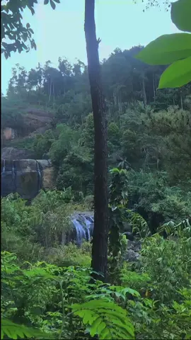 hujan sudah reda tapi banjir besar belum tiba#airterjunsonggolangit #yyyyyyyyyyyyyyyyyy #alam #indah #bebas 