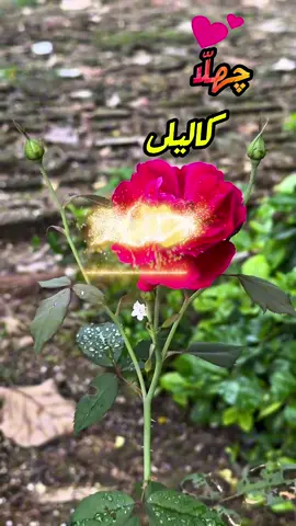 🥺🥺#foryoupage #foryou #jahazpromax #rajanpurijahaz #aeshtheticjahaz 