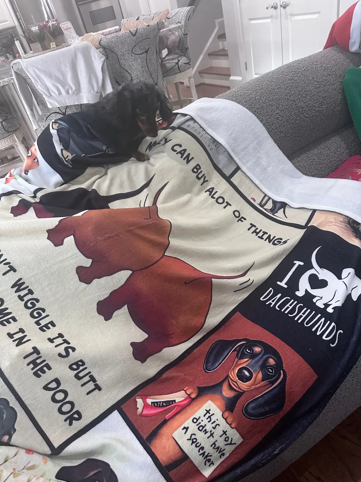 My dogs blanket is the cutest 