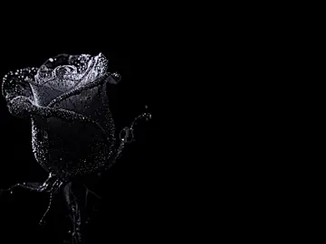 من همجا کنار طُ🌷. 
‌ 
‌ 
‌ 
‌ 
‌ 
‌ 
‌ #viewproblem 