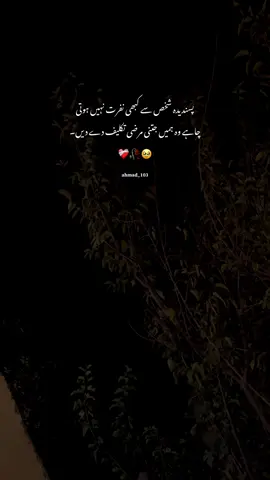 پسندیدہ شخص سے کبھی نفرت نہیں ہوتی❤️‍🩹#videos #foryоu #status #esthetics 