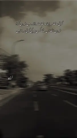 کوئی نہ تھا میرا ہاتھ تھامنے والا ... میں خود ہی گرا، خود ہی اٹھا اس لئے لیسی چیز کی کوئی پروا نہیں #fyp #zain 