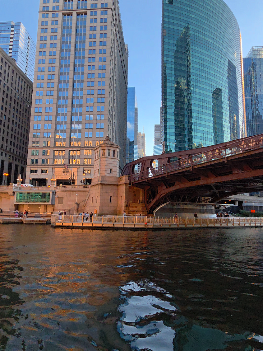 Why is Chicago Called “The Windy City”? it's not actually about the weather!).  #chicago #windycity #illinois 