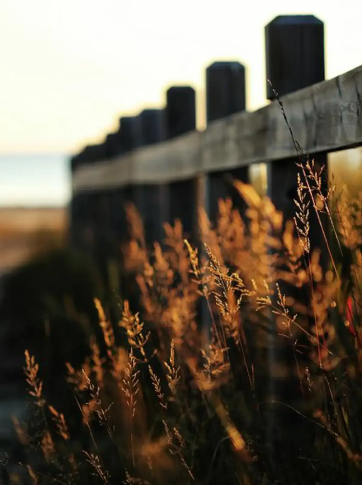 🥹🥹🥹 #camxuc #tamtrang #xuhuong #story #buon 