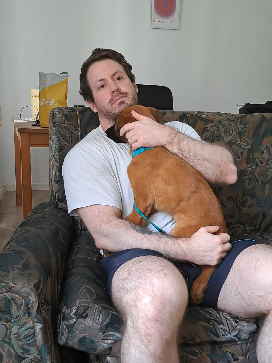 Es curioso como funciona el universo. El amor llegó a mi vida porque otra persona la abandonó hace unos dias. Gracias supongo ♥️🐶 #vidaconperros #perrosdeinstagram #perrofeliz #amorperruno #perroabandonado 