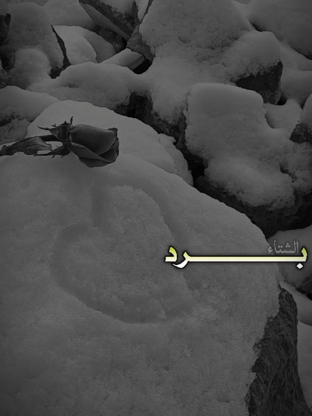 برد الشتاء وشوق وحنين 🌧️ #CapCut #reel #برد_الشتاء #lavendr81 #اكسبلورر 