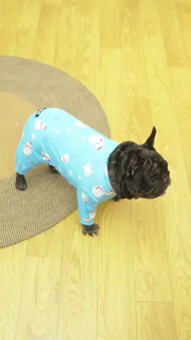 Our Christmas is officially PAW-fect! #ChristmasDogs #DogFashion #PetTikTok #DogsInPajamas #dogclothes 