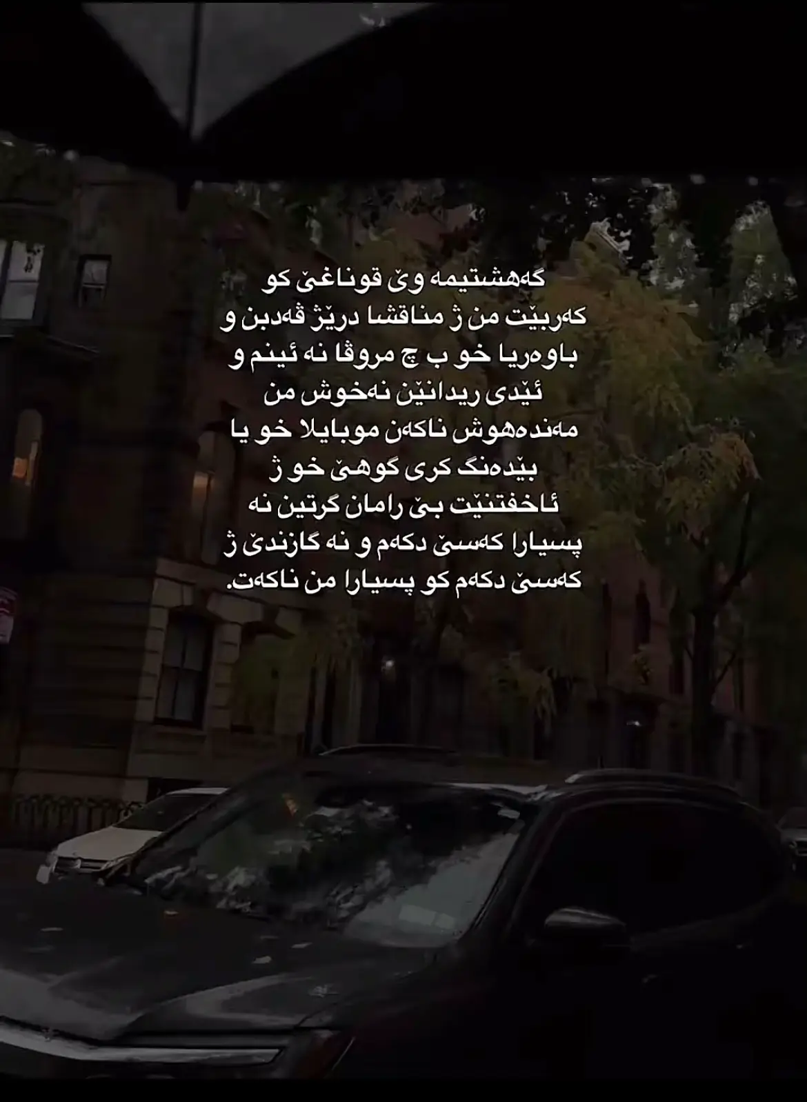 🌷😍#foryou #viral #fyp #explore #شعب_الصيني_ماله_حل😂😂 