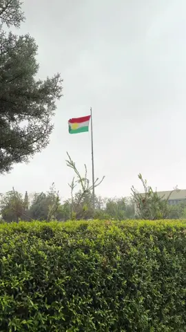 🌧️😍. #کوردستان #ئاکرێ #دهوك #دهوك_زاخو_سليماني_ئاكري_ئامیدی_هولیر 