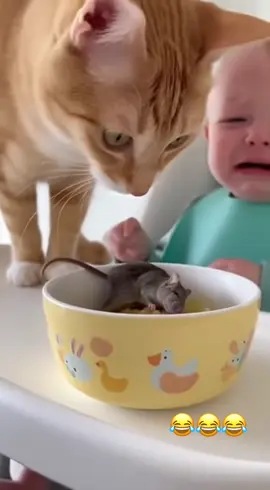 cat and baby funny short video 😂😂😂😂😁😁😁😁🤣🤣🤣🤣😆😆😆 #funnycats #catlover #cattok #funniest #funnyvideos