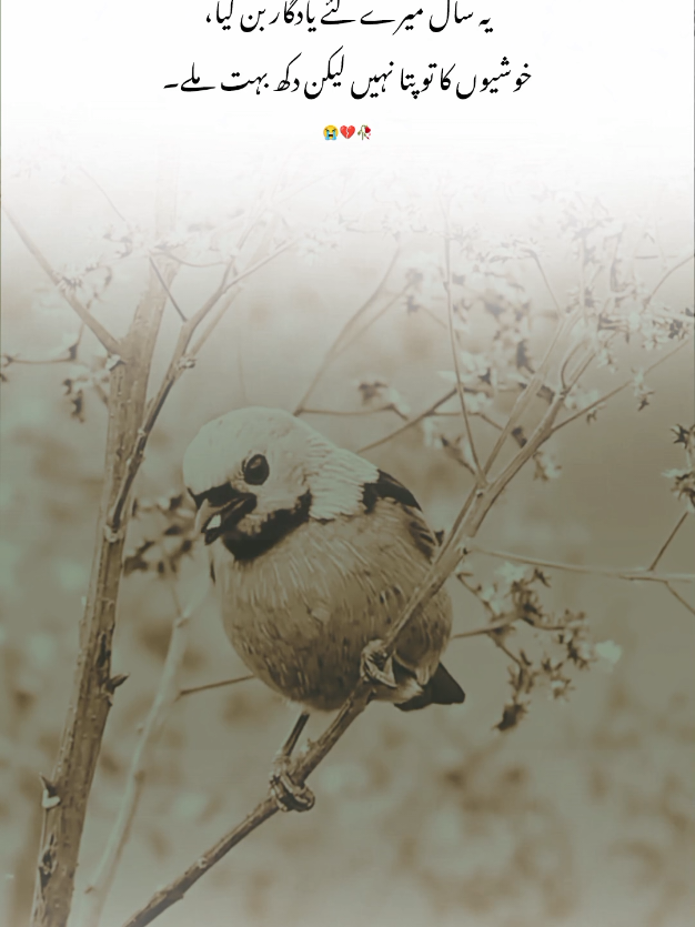 schiii yrr 🥹😭  #viralvideo #line #unfrezzmyaccount   #foryou #poetry 