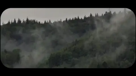 ﴿وَالَّذي أَطمَعُ أَن يَغفِرَ لي خَطيئَتي يَومَ الدّينِ﴾ [الشعراء: ٨٢] .  .  .  .  #قران_كريم #القارئ_خالد_محمد_الشحات #قران #سورة_الشعراء #الذي_خلقني_فهو_يهدين 