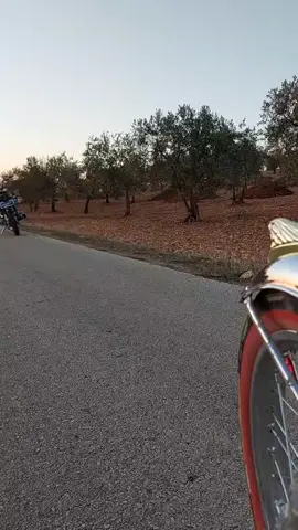 #العيتاني # #الهشمي ركيب العيتاني 